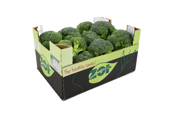 Brócoli: caja ZOI, vista lateral