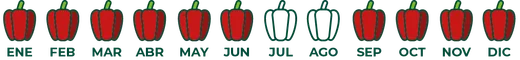 Calendario de temporada de pimiento rojo