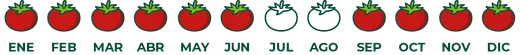 Calendario de temporada de tomate rama