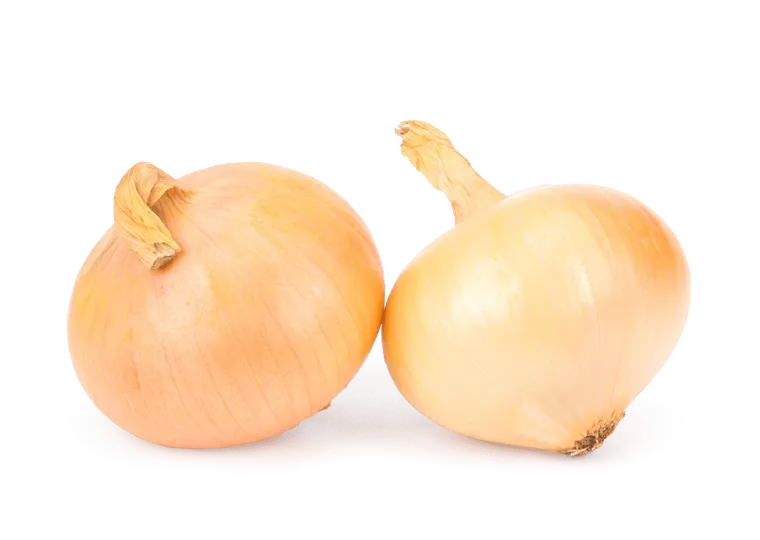 Cebolla