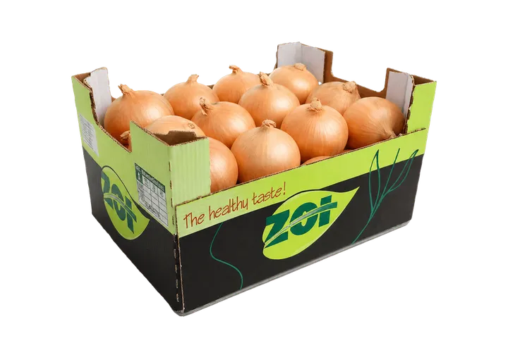 Cebolla: caja ZOI, vista lateral