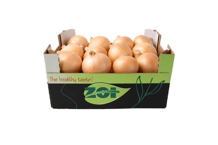 Cebolla: caja ZOI, vista frontal