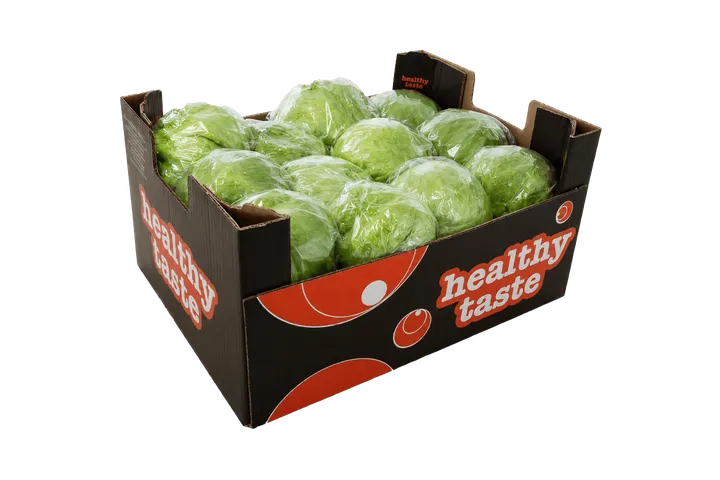 Lechuga: caja Healthy Taste, vista lateral
