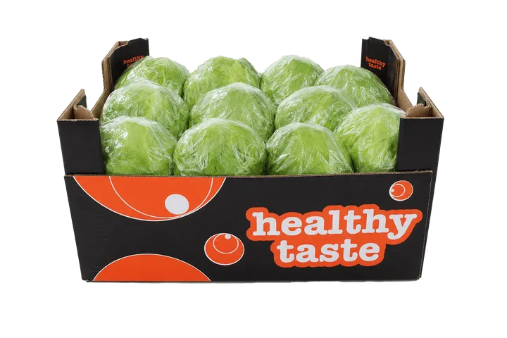 Lechuga: caja Healthy Taste, vista frontal