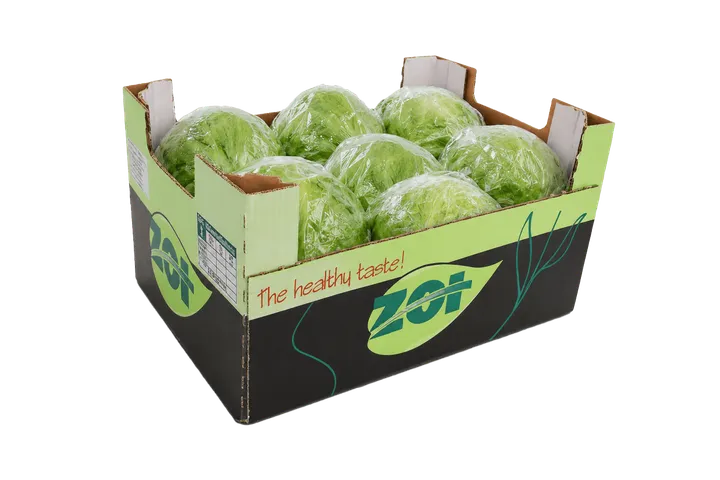 Lechuga: caja ZOI, vista lateral