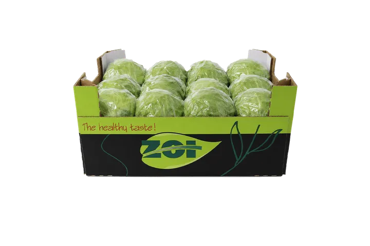 Lechuga: caja ZOI, vista frontal