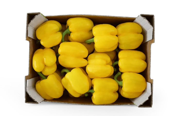 Pimiento Amarillo: caja ZOI, vista cenital