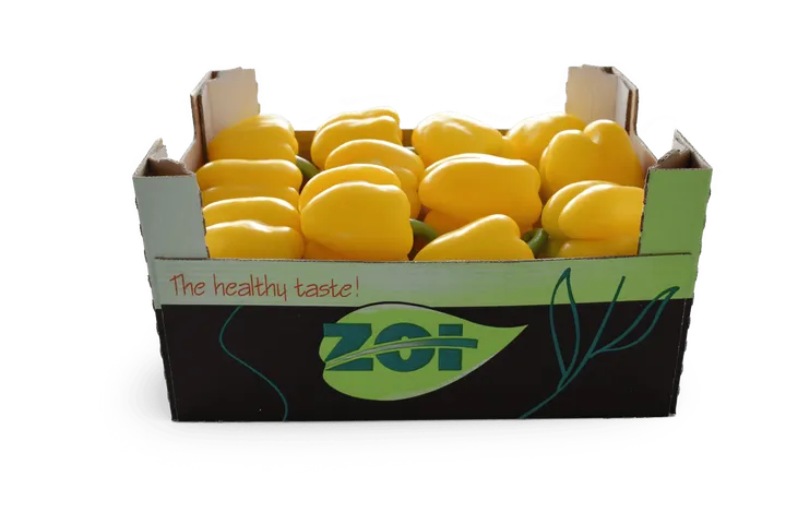 Pimiento Amarillo: caja ZOI, vista lateral