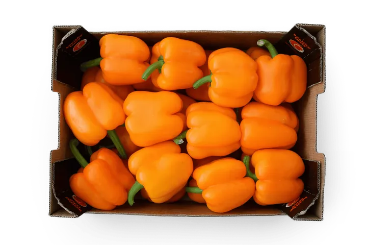 Pimiento Naranja: caja Healthy Taste, vista cenital
