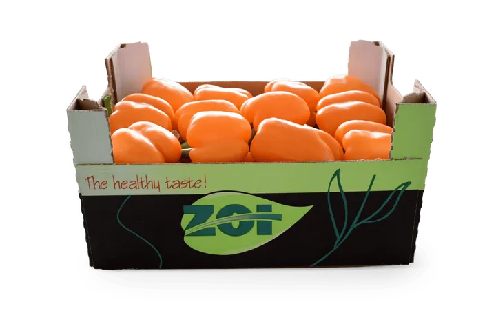 Pimiento Naranja: caja ZOI, vista lateral