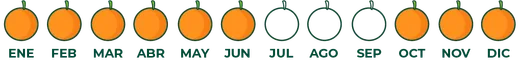 Calendario de temporada de naranja
