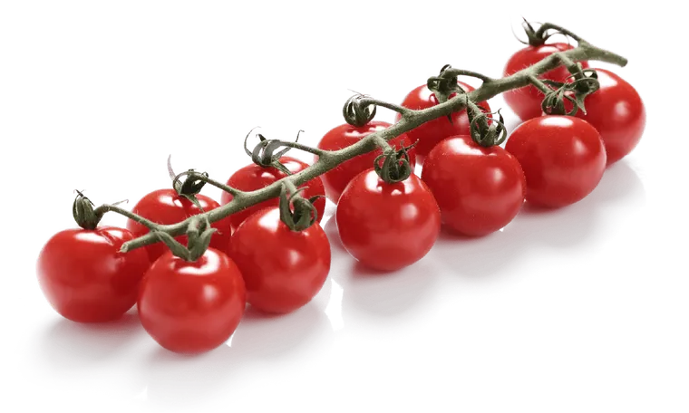 Tomate Cherry