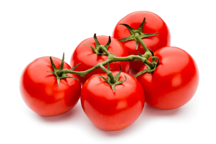 Tomate Rama