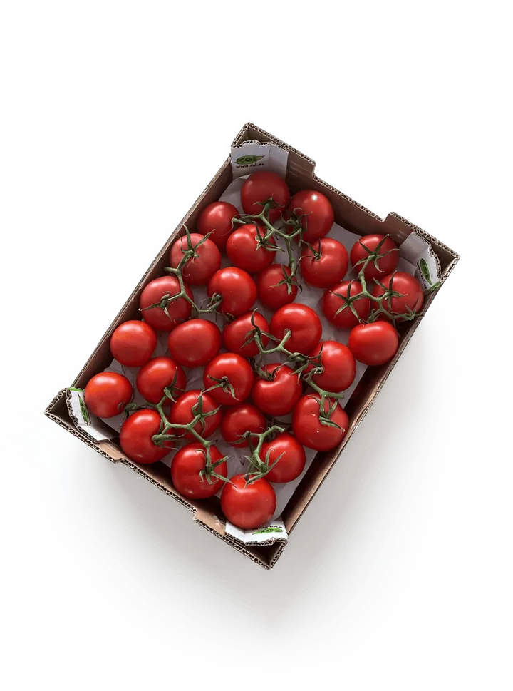 Tomate Rama: caja ZOI, vista cenital