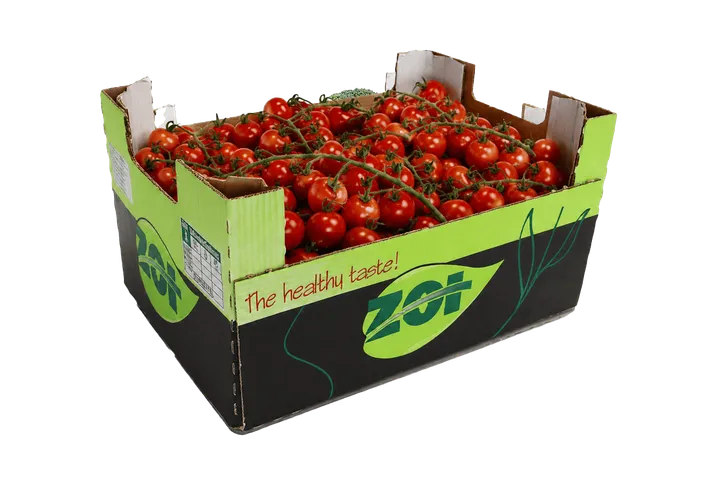 Tomate Cherry: caja ZOI, vista lateral