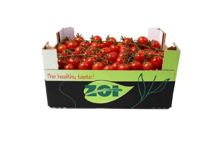 Tomate Cherry: caja ZOI, vista frontal