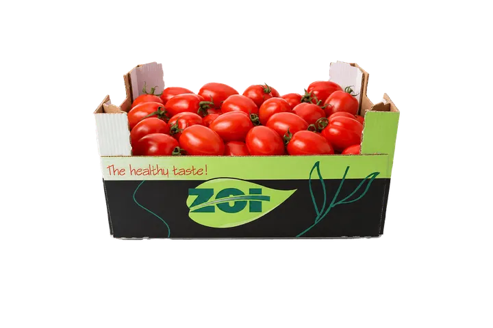 Tomate Pera: caja ZOI, vista frontal